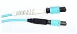 Amphenol Fiber Optics 943-99695-10010 Imagen ampliada