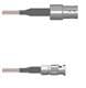 Amphenol Custom Cable Q-0500W000S048i
