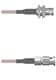Amphenol Custom Cable Q-0600W000S010i