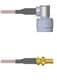 Amphenol Custom Cable Q-2C03M0005012i