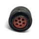 Cinch MS24266R14B7SN