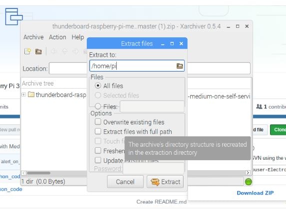 File Extraction Interface