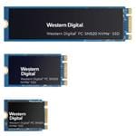 SanDisk SDAPNUW-256G Imagen ampliada